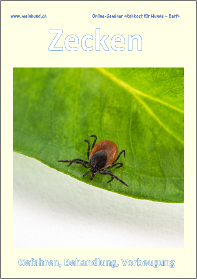 Zecken