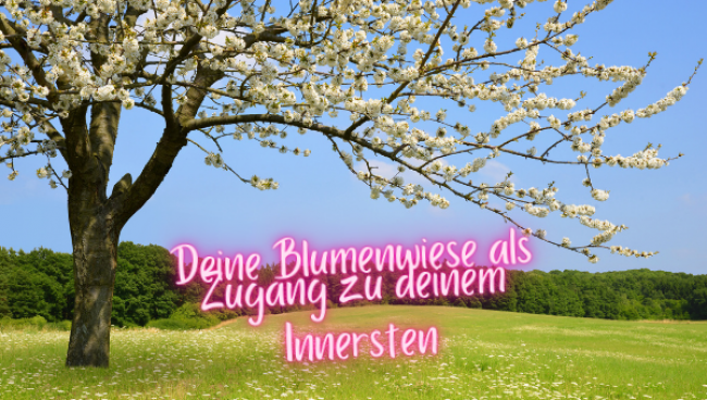 Audio_Die Blumenwiese