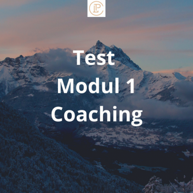 Abschlusstest Modul 1