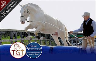 TGT® Zusatz-Kompetenz – Classic Horsemanship