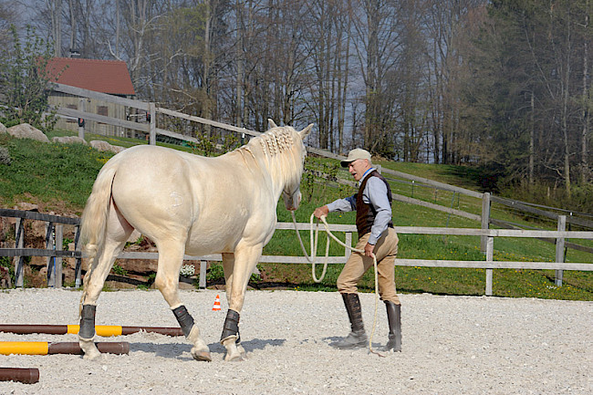 Parcours | Teil 2 | Durchläufe & Korrekturen
