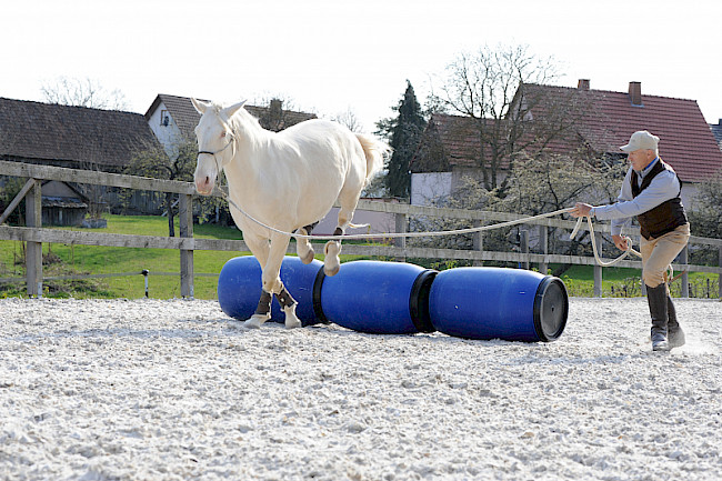 Pacours | Teil 3 | Durchlauf mit Energie
