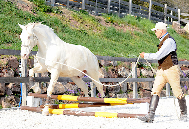 Parcours | Teil 3 | Vorbereitung Sprung
