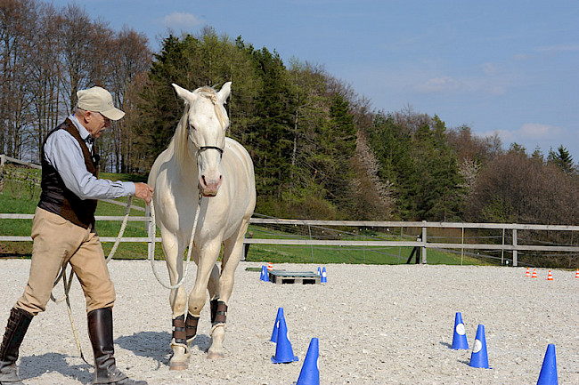Parcours | Teil 2 | Wendungen an Pylonen