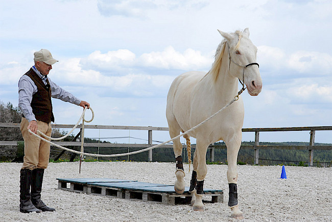 Parcours | Teil 1 | Die Brücke – längs und quer