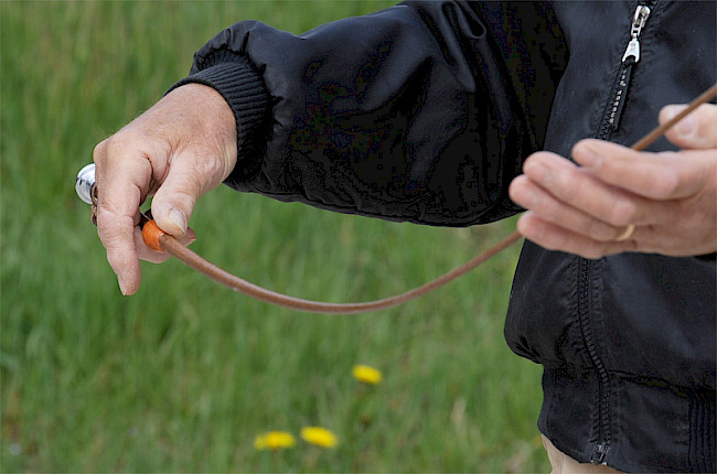 Erläuterung | Gerte