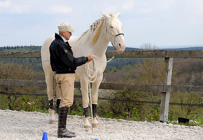 Gerte | an der Bande