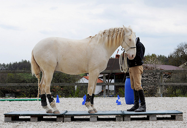 Gerte | Brücke, Verladen vorbereiten