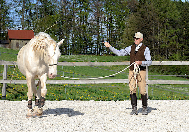 Kurzpeitsche | in-out Kontakt