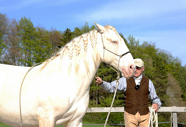 Kurzpeitsche | engaging/disengaging