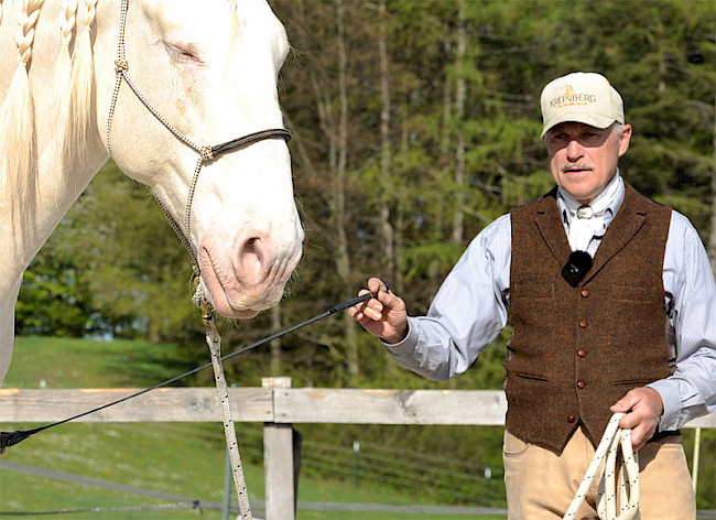 Kurzpeitsche | turns
