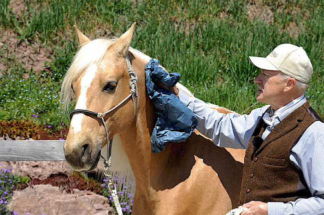 Start | Berührungen & Geräusche