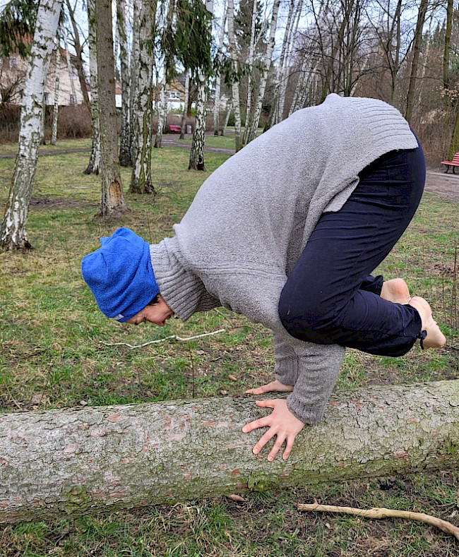 Die Krähe- Bakasana