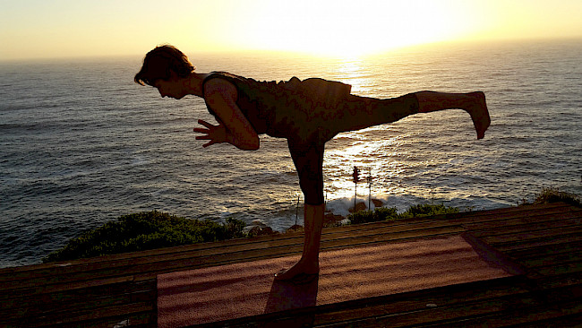 Der Krieger III - Virabhadrasana III