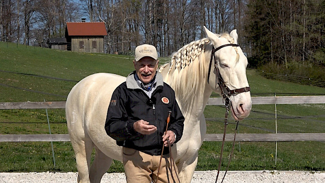 Re-Fresh | Remonte-Abläufe