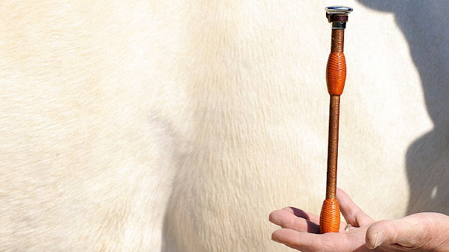 Ausrüstung | Gerten