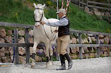 Basis-Übungen | Dressurhaltung