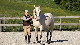 Seitengänge & Versammlung