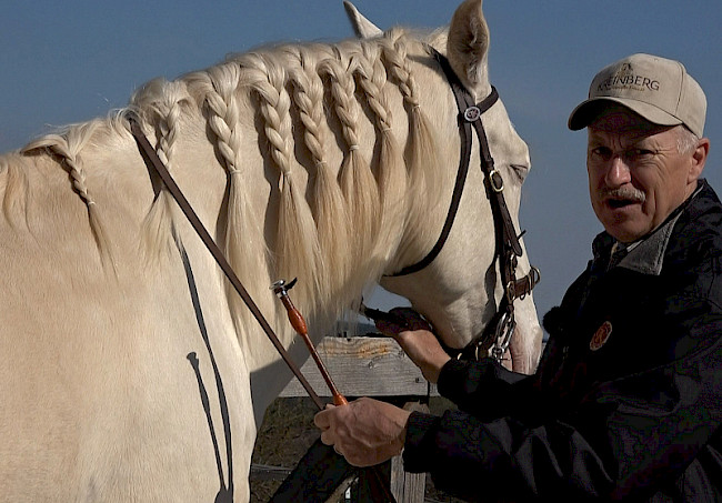 Der äußerer Zügel