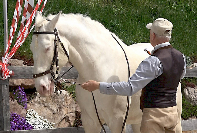 Balancegefühl entwickeln