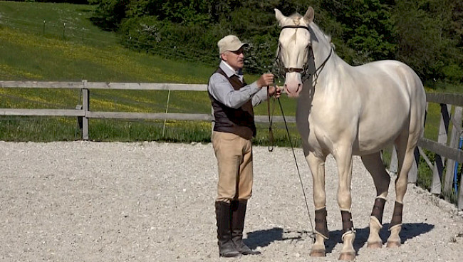 Renvers | aus Schulterherein