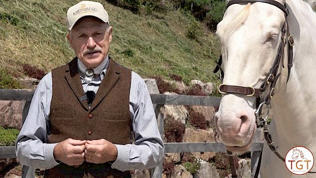 Dressurmäßige Handarbeit | erklärt