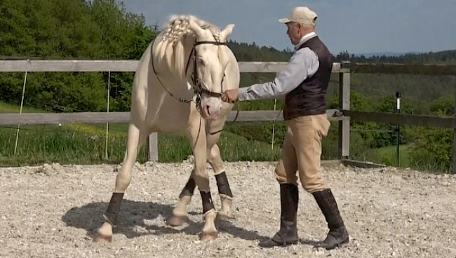 Übertreten | auf Volte