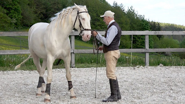 Übertreten | am Standort