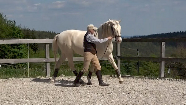 Schritt–Trab–Schritt