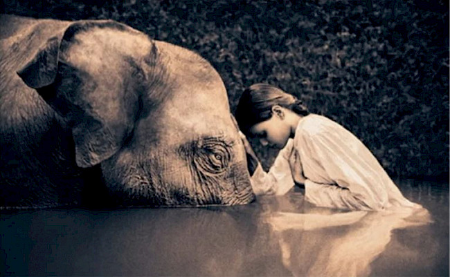 4. Assoziativ-intuitives und empathisches Zuhören