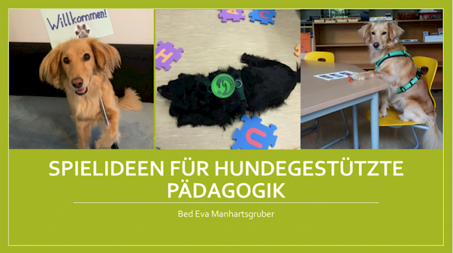 Fortbildung: Spielideen hundegestützte Pädagogik