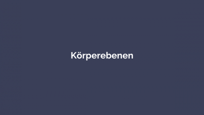 Körperebenen