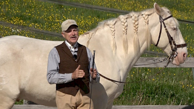 Einleitung | Schultervor, Schulterherein