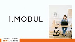 Aufbau eines virtuellen Seminarraumes