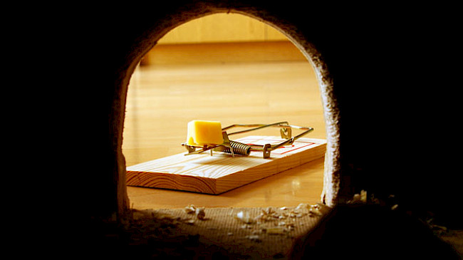 Die größte Gesprächsfalle