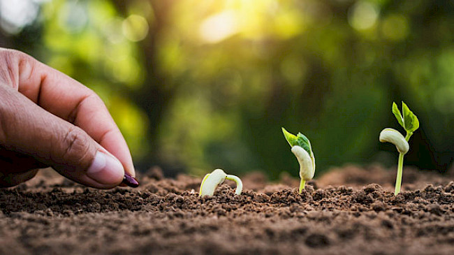 Einführung in Modul 2