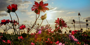 Ein Training in Selbstliebe