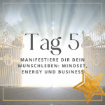 Manifestiere dir dein Wunschleben: Mindset, Energy und Business