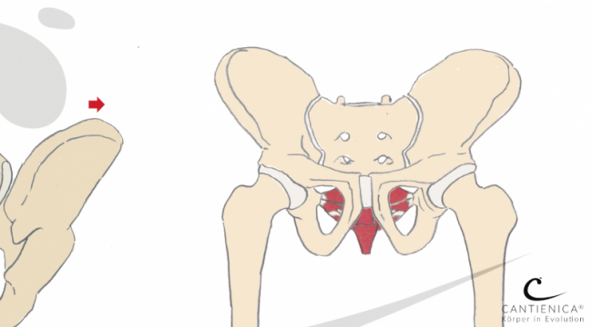 INTRO 2: Benita Cantieni sagt, worauf es ankommt