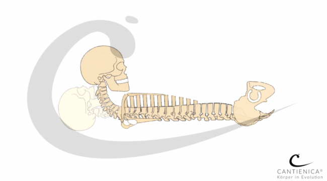 INTRO 3: Benita Cantieni sagt, worauf es ankommt