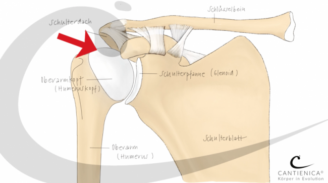INTRO 4: Benita Cantieni sagt, worauf es ankommt
