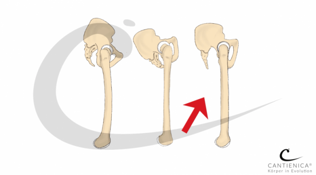 INTRO 5: Benita Cantieni sagt, worauf es ankommt