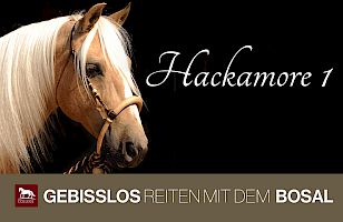 Hackamore 1: Bosal – gebisslos Reiten