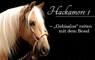Hackamore 1: Bosal – gebisslos Reiten
