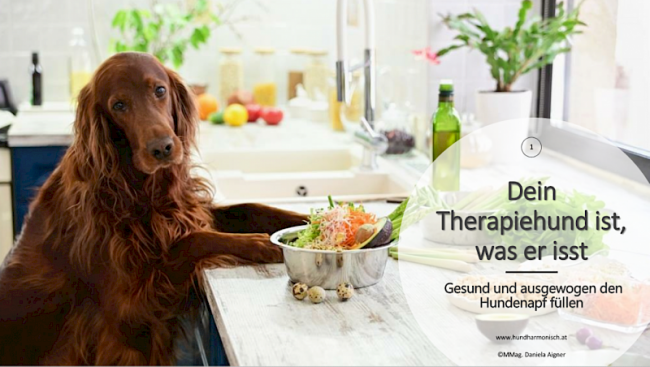 Fortbildung: dein Hund ist, was er isst