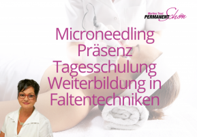 Microneedling Präsenz Faltentechniken Weiterbildung