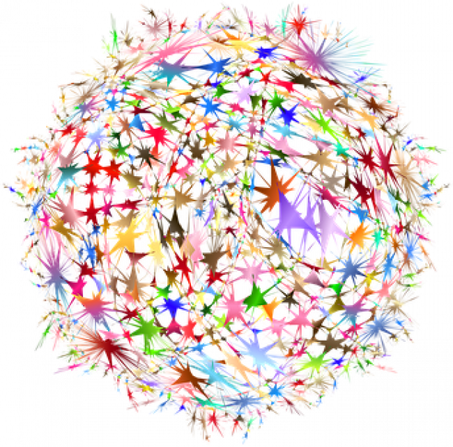 5. Verblüffendes vom Gehirn