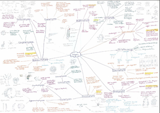 9. Prüfungen vorbereiten