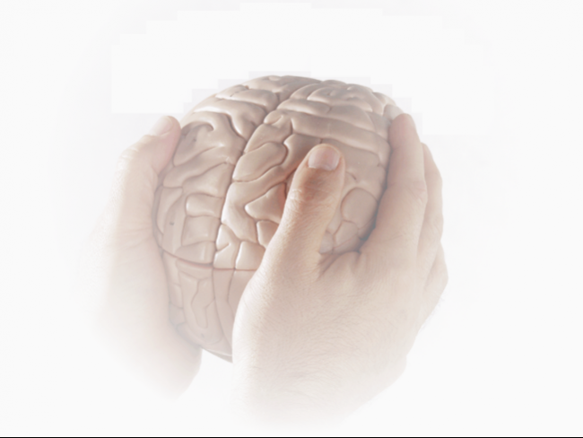 12. Das Gehirn in die Hände nehmen