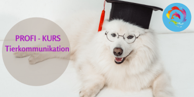 Masterclass Profi-Ausbildung